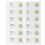 Coin sheets - Multi Collect MU (. 2E20), suitable for: sheets - Pre-printed4 Rings