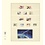 Insert sheets - T-Blanco (802513), 5 compartments: T-Blanco sheets - Champagne18 Rings