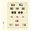 Insteekbladen - T-Blanco (802601), 6 vaks indeling: T-Blanco bladen - Champagne 18 Rings