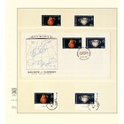 Insteekbladen - T-Blanco (802309), 3 vaks indeling: 233 x 42/120/66 mm - Champagne 18 Rings - afm: 272 x 296 ■ per 10 stuks