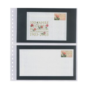 Insert sheets - Transparent (821), 2 compartments: Crystal Clear sheets - 18 Rings