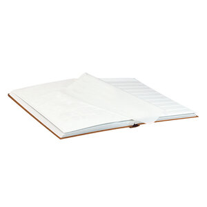 Insteekalbum A4, 32 bladzijden (Wit ) - 10 stroken - Lichtbruin - serie Standard, Kunstleder - afm: 230 x 305 x 30 ■ per st.