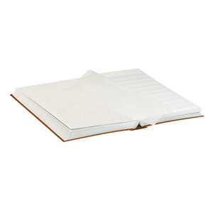 Insteekalbum A4, 64 bladzijden (Wit ) - 10 stroken - Lichtbruin - serie Standard, Kunstleder - afm: 230 x 305 x 55 ■ per st.