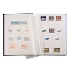 Insteekalbum A4, 32 bladzijden (Wit) - 9 stroken - Groen - serie Comfort original, Kunstleder - afm: 230 x 305 x 30 ■ per st.