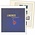 Supplement year: 2023 - Isle of Man - sheets for Basic album, nr's: 287-298 (12 pcs.) - Lindner, T preprint sheets (champagne colored)