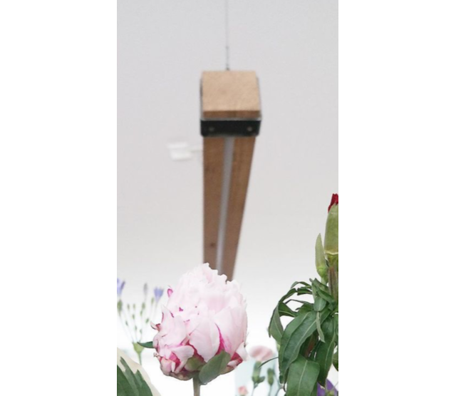 LED Eichenholz Hängeleuchte - 100 cm - Dual White Licht (2700K & 6500K) - Dimmbar - Energieeffizient - Modernes Design - Perfekt für Wohnzimmer oder Küche LED Eichenholz Hängeleuchte - 100 cm - Dual White Licht (2700K & 6500K) - Dimmbar - Energieeffizient - Modernes Design - Perfekt für Wohnzimmer oder Küche