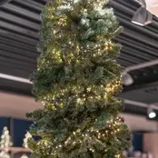 800 LED Cluster Weihnachtsbeleuchtung, wasserdicht