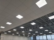LED Panel 30x120 cm Kaltweiß 6000K – Ultrahelle, energieeffiziente Deckenleuchte, ideal für Büro, Werkstatt und Industrie