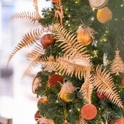 7,5 Meter LED Lichterkette für Weihnachtsbeleuchtung - 100 LEDs - Extra Warmweiß (2700K) - Wasserdicht (IP44) - Inkl. 10m Stromkabel - 24V Niederspannung - Innen- und Außenbereich