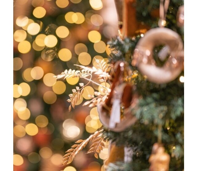 7,5 Meter LED Lichterkette für Weihnachtsbeleuchtung - 100 LEDs - Extra Warmweiß (2700K) - Wasserdicht (IP44) - Inkl. 10m Stromkabel - 24V Niederspannung - Innen- und Außenbereich