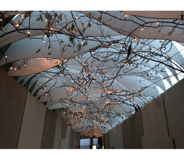 70m LED-Lichterkette für Weihnachtsbeleuchtung – 700 LEDs in Warmweiß – IP44 geschützt – Professionelle Luxus-Ausführung für Innen- und Außenbereich