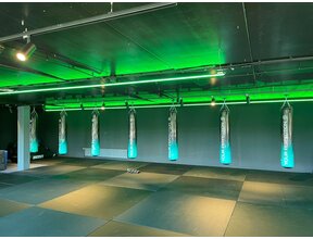 RGBCCT LED Streifen 96x5050 LED 21W 2240 lm/m 24V DC IP68 8m Rolle