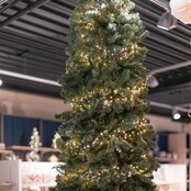 Starter-Set – 6 m LED Cluster-Lichterkette, 200 LEDs, extra warmweiß (2700K), 24V, IP44, BASIC – Weihnachtsbeleuchtung für Innen- und Außenbereich