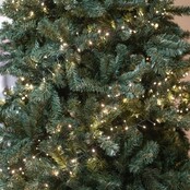 Starter-Set – 6 m LED Cluster-Lichterkette, 200 LEDs, extra warmweiß (2700K), 24V, IP44, BASIC – Weihnachtsbeleuchtung für Innen- und Außenbereich