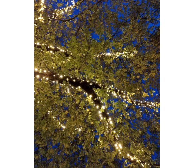 100m LED Streifen warmweiß 1000 LEDs, IP67 wasserdicht, PRO-LUXUS für Innen- und Außenbeleuchtung, 24V, 14,4W/m, hochwertige Baumbeleuchtung 100m LED Streifen warmweiß 1000 LEDs, IP67 wasserdicht, PRO-LUXUS für Innen- und Außenbeleuchtung, 24V, 14,4W/m, hochwertige Baumbeleuchtung