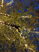 130 m LED Baumbeleuchtung Warmweiß mit 1300 LEDs, IP67, PRO LUKSUS, 24V, 9,6W/m, hochwertige Weihnachtsbeleuchtung für Außenbereich