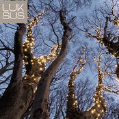 150m LED Streifen Warmweiß 1500 LEDs, IP67 wasserdicht, PRO-LUKSUS Außenbeleuchtung für Bäume, 24V, 12W/m, hochwertige Baumbeleuchtung für Garten und Events