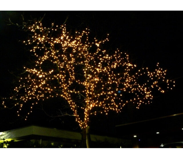 150m LED Streifen Warmweiß 1500 LEDs, IP67 wasserdicht, PRO-LUKSUS Außenbeleuchtung für Bäume, 24V, 12W/m, hochwertige Baumbeleuchtung für Garten und Events