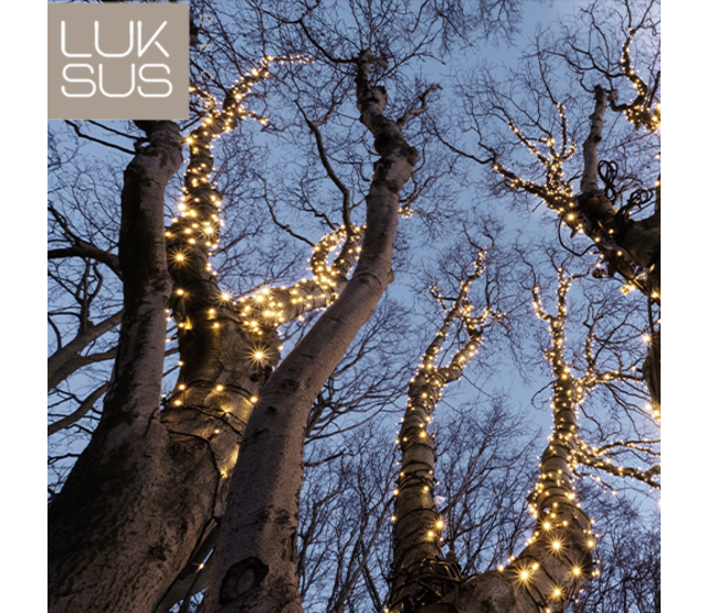 200m LED Streifen Warmweiß 2000 LEDs, IP67 wasserdicht, PRO-LUXUS für Innen- und Außenbeleuchtung, 24V, 14,4W/m, hochwertige Baumbeleuchtung 200m LED Streifen Warmweiß 2000 LEDs, IP67 wasserdicht, PRO-LUXUS für Innen- und Außenbeleuchtung, 24V, 14,4W/m, hochwertige Baumbeleuchtung