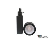 3-Phasen Trackspot Cadiz Triac, schwarz, Railspot, 230V, dimmbar, für LED-Streifen, präzise Lichtsteuerung, 36W, 50Hz, IP20, ideal für professionelle Beleuchtungslösungen in Innenräumen 3-Phasen Trackspot Cadiz Triac, schwarz, Railspot, 230V, dimmbar, für LED-Streifen, präzise Lichtsteuerung, 36W, 50Hz, IP20, ideal für professionelle Beleuchtungslösungen in Innenräumen