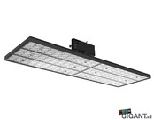 3-Phasen LED-Schienenbeleuchtung Valencia, schwarz, Railline – Hochwertige LED-Streifen mit dimmbarem Licht, 230V, 50Hz, IP20, ideal für moderne Innenraumbeleuchtung in Wohn- und Gewerberäumen 3-Phasen LED-Schienenbeleuchtung Valencia, schwarz, Railline – Hochwertige LED-Streifen mit dimmbarem Licht, 230V, 50Hz, IP20, ideal für moderne Innenraumbeleuchtung in Wohn- und Gewerberäumen