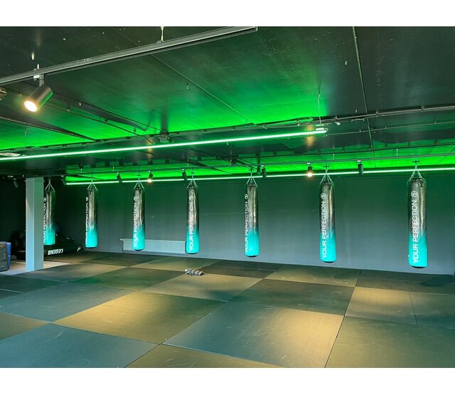 PRO RGBWW LED Streifen 19,2W 1050LM 60LED/m 24VDC IP20 10mm Breite – 2,5 Meter für professionelle Beleuchtung, dimmbar, hohe Lichtleistung, ideal für Innenräume