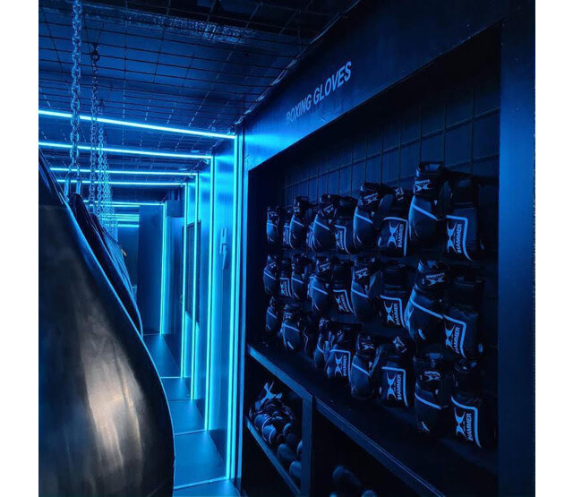 PRO RGBWW LED Streifen 20W 1150LM 84LED/m 24VDC IP20 12mm Breite - 2,5 Meter für professionelle Beleuchtung