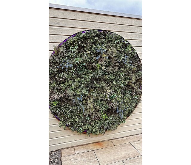 Neon Flex LED Streifen 24V RGBCCT 18W 1050LM 12x20mm IP67 – 5m | RGBW+CCT Lichtband mit 1050 Lumen, 18 Watt, 24 Volt, 5 Meter Länge, 12x20mm Profil, IP67 Schutzklasse Neon Flex LED Streifen 24V RGBCCT 18W 1050LM 12x20mm IP67 – 5m | RGBW+CCT Lichtband mit 1050 Lumen, 18 Watt, 24 Volt, 5 Meter Länge, 12x20mm Profil, IP67 Schutzklasse