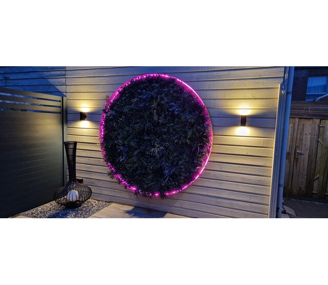 Neon Flex LED Streifen 24V RGBWW 18W 1050LM 16x16mm IP67 – 5m | Hochwertige RGBWW-Beleuchtung für Innen- und Außenbereich