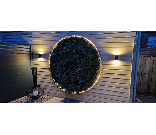 Neon Flex LED Streifen 24V RGBWW 18W 1050LM 16x16mm IP67 – 5m | Hochwertige RGBWW-Beleuchtung für Innen- und Außenbereich