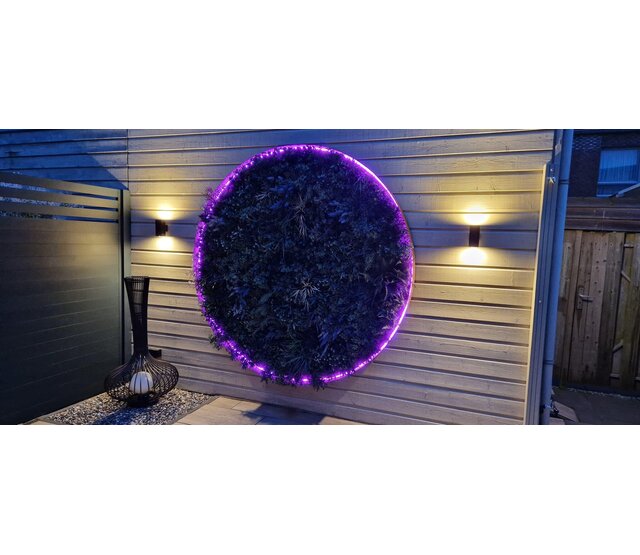 Neon Flex LED Streifen 24V RGBWW 18W 1050LM 16x16mm IP67 – 5m | Hochwertige RGBWW-Beleuchtung für Innen- und Außenbereich