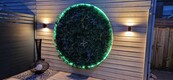 LED Neon Flex RGBW – RGB + neutralweiß 4000K, 24 V, 20 W/m, 700 lm/m, 60 LED/m, IP67, 5 m Rolle