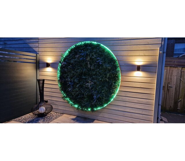 LED Neon Flex RGBW – RGB + neutralweiß 4000K, 24 V, 20 W/m, 700 lm/m, 60 LED/m, IP67, 5 m Rolle