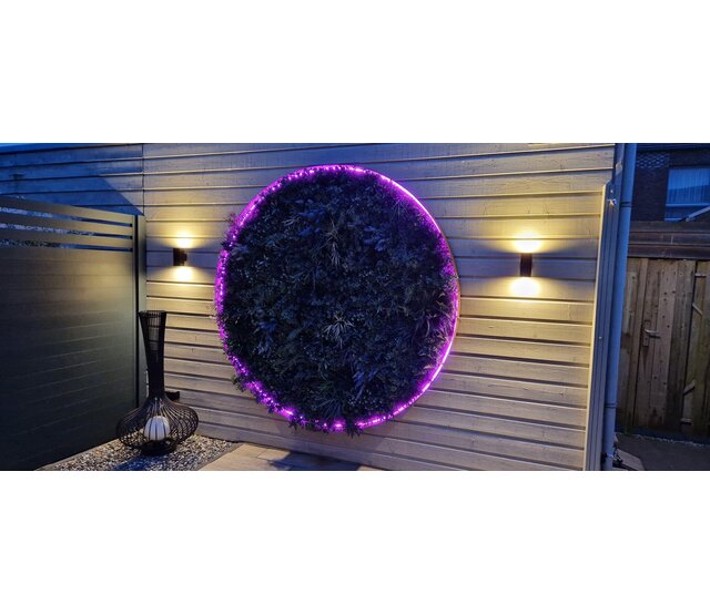 LED Neon Flex RGBW – RGB + neutralweiß 4000K, 24 V, 20 W/m, 700 lm/m, 60 LED/m, IP67, 5 m Rolle