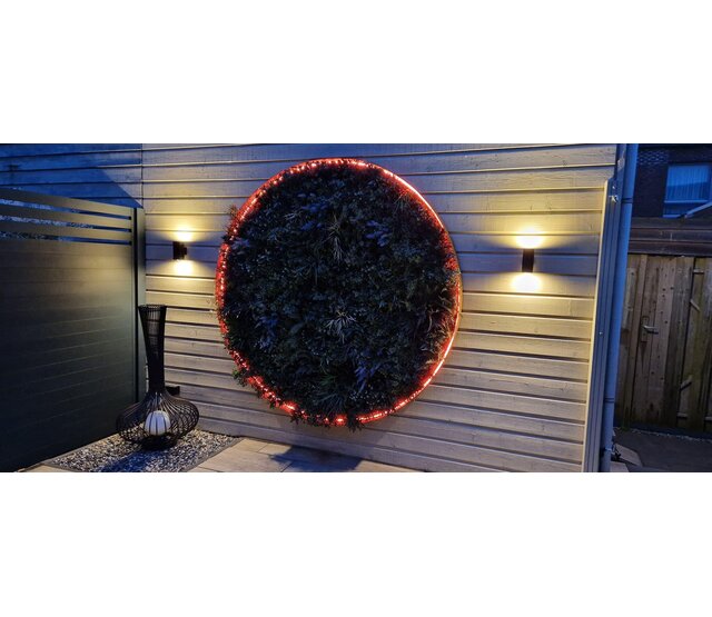 Neon Flex LED Streifen 24V RGBW 18W 1050LM 16x16mm IP67 – 10m | Flexible RGBW-Beleuchtung mit 1050 Lumen, 18 Watt, 24 Volt, wasserdicht IP67, 10 Meter Länge