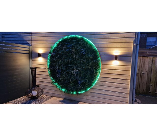 Neon Flex LED Streifen 24V RGBW 18W 1050LM 16x16mm IP67 – 10m | Flexible RGBW-Beleuchtung mit 1050 Lumen, 18 Watt, 24 Volt, wasserdicht IP67, 10 Meter Länge