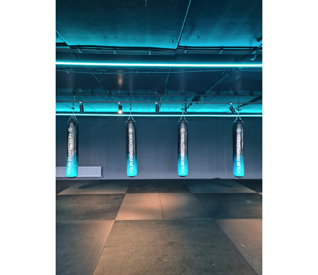 Wasserdichter LED Streifen RGBCCT 21W 2240LM 96LED/m 12VDC IP65 – 5m, RGB & Weißlicht, 2240 Lumen, 12V Gleichstrom, 96 LEDs pro Meter, 5 Meter Länge Wasserdichter LED Streifen RGBCCT 21W 2240LM 96LED/m 12VDC IP65 – 5m, RGB & Weißlicht, 2240 Lumen, 12V Gleichstrom, 96 LEDs pro Meter, 5 Meter Länge