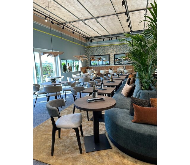 3-Phasen LED-Schienenspot, 10 Watt, schwarz, dimmbar, einstellbare Farbtemperatur (Tunable White), Railspot für Schienensysteme, energieeffizient, 230V, ideal für Wohn- und Gewerberäume 3-Phasen LED-Schienenspot, 10 Watt, schwarz, dimmbar, einstellbare Farbtemperatur (Tunable White), Railspot für Schienensysteme, energieeffizient, 230V, ideal für Wohn- und Gewerberäume