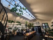 3-Phasen LED-Trackspot Luna 20 Watt, dimmbar, mit einstellbarer Farbtemperatur, schwarz – flexible, energieeffiziente Schienenbeleuchtung für Wohn- und Gewerberäume