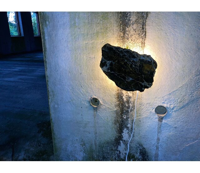 Versteinerter Holz Design LED Lampe - Dual White 2700K & 6500K - Dimmbarer LED Streifen - Modell #101 - Energieeffiziente Beleuchtung für stilvolles Ambiente Versteinerter Holz Design LED Lampe - Dual White 2700K & 6500K - Dimmbarer LED Streifen - Modell #101 - Energieeffiziente Beleuchtung für stilvolles Ambiente