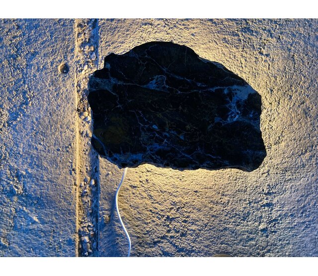 Versteinerte Holz Stehleuchte – Dual White LED – 2700K bis 6500K