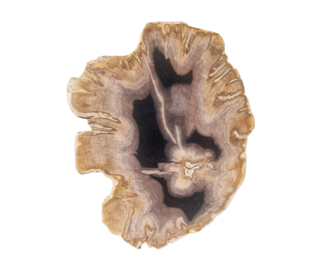 Versteinerter Holz-Design LED-Tischleuchte - Dual White 2700K & 6500K - Dimmbarer LED-Streifen - Modell #103 - Energieeffiziente Beleuchtung für stilvolles Ambiente Versteinerter Holz-Design LED-Tischleuchte - Dual White 2700K & 6500K - Dimmbarer LED-Streifen - Modell #103 - Energieeffiziente Beleuchtung für stilvolles Ambiente