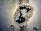 Versteinerte Holz Designlampe mit Dual-White LED-Technik – 2700K (Warmweiß) & 6500K (Tageslichtweiß) – Modell Nr. 104 – Energieeffiziente Stehlampe für stilvolle Innenräume