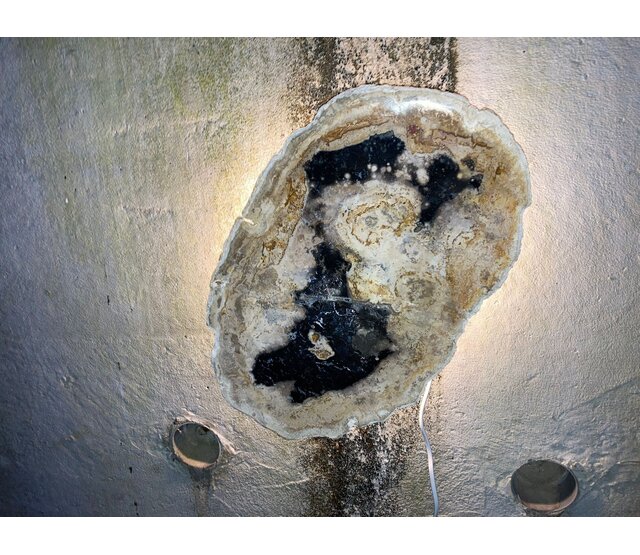 Versteinerte Holz Designlampe mit Dual-White LED-Technik – 2700K (Warmweiß) & 6500K (Tageslichtweiß) – Modell Nr. 104 – Energieeffiziente Stehlampe für stilvolle Innenräume