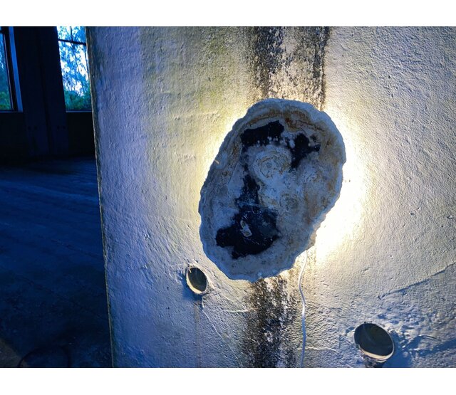 Versteinerte Holz Designlampe mit Dual-White LED-Technik – 2700K (Warmweiß) & 6500K (Tageslichtweiß) – Modell Nr. 104 – Energieeffiziente Stehlampe für stilvolle Innenräume