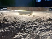 Versteinerte Holz Designlampe mit Dual-White LED-Technik – 2700K (Warmweiß) & 6500K (Tageslichtweiß) – Modell Nr. 104 – Energieeffiziente Stehlampe für stilvolle Innenräume