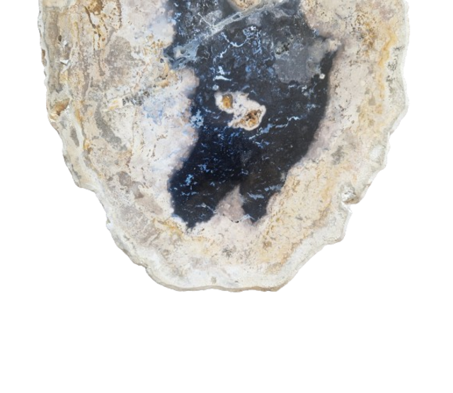 Versteinertes Holz Designlampe mit Dual-White LED-Technik - 2700K (Warmweiß) & 6500K (Tageslichtweiß) - Modell #104 - Energieeffiziente Beleuchtung für stilvolle Innenräume Versteinertes Holz Designlampe mit Dual-White LED-Technik - 2700K (Warmweiß) & 6500K (Tageslichtweiß) - Modell #104 - Energieeffiziente Beleuchtung für stilvolle Innenräume