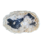 Versteinertes Holz Designlampe mit Dual-White LED-Technik - 2700K (Warmweiß) & 6500K (Tageslichtweiß) - Modell #104 - Energieeffiziente Beleuchtung für stilvolle Innenräume Versteinertes Holz Designlampe mit Dual-White LED-Technik - 2700K (Warmweiß) & 6500K (Tageslichtweiß) - Modell #104 - Energieeffiziente Beleuchtung für stilvolle Innenräume