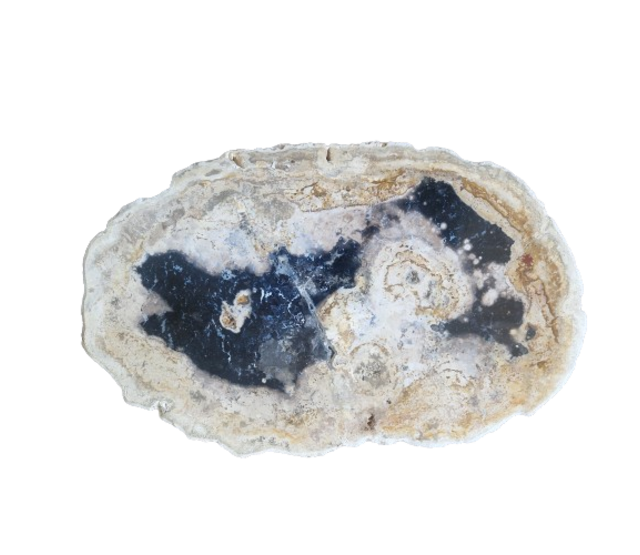 Versteinertes Holz Designlampe mit Dual-White LED-Technik - 2700K (Warmweiß) & 6500K (Tageslichtweiß) - Modell #104 - Energieeffiziente Beleuchtung für stilvolle Innenräume Versteinertes Holz Designlampe mit Dual-White LED-Technik - 2700K (Warmweiß) & 6500K (Tageslichtweiß) - Modell #104 - Energieeffiziente Beleuchtung für stilvolle Innenräume