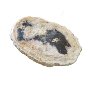 Versteinertes Holz Designlampe mit Dual-White LED-Technik - 2700K (Warmweiß) & 6500K (Tageslichtweiß) - Modell #104 - Energieeffiziente Beleuchtung für stilvolle Innenräume Versteinertes Holz Designlampe mit Dual-White LED-Technik - 2700K (Warmweiß) & 6500K (Tageslichtweiß) - Modell #104 - Energieeffiziente Beleuchtung für stilvolle Innenräume